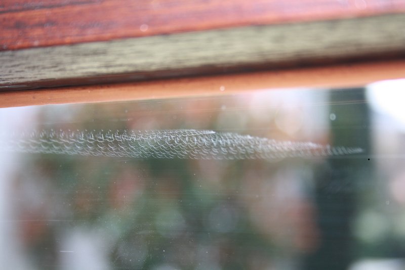 Schleifspuren eines Schwingschleifers im Randbereich einer zu säubernden Holzleiste